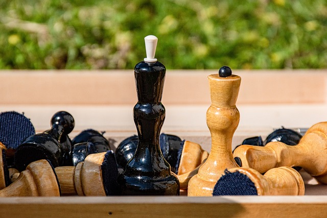 不仅证明了 不仅证明了