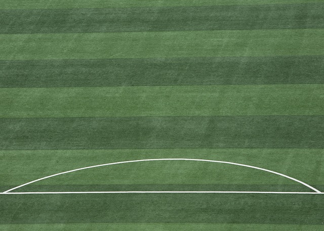 了市场恐慌 了市场恐慌