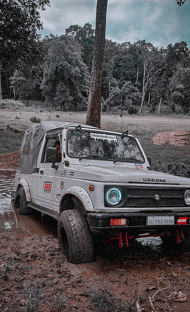 或缺的核心 或缺的核心