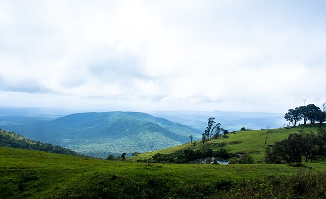 得所有体育 得所有体育