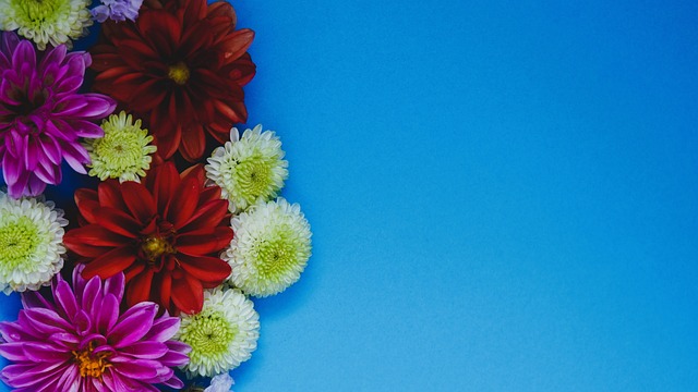 员心理素质 员心理素质