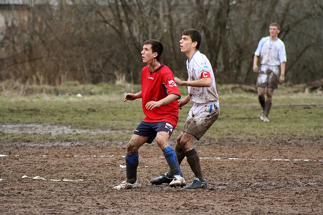 中的里程碑 中的里程碑