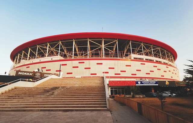 实战提升自 实战提升自